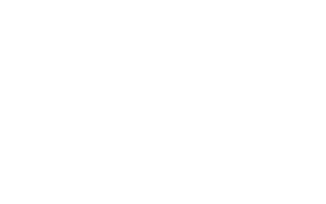 Twistflex-Logo